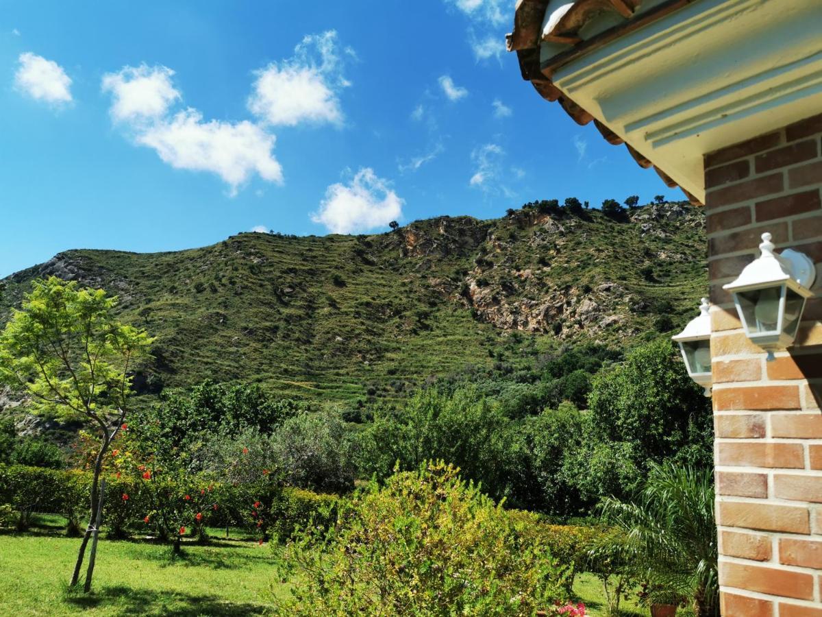 Il Mandorlo Vila Amantea Exterior foto