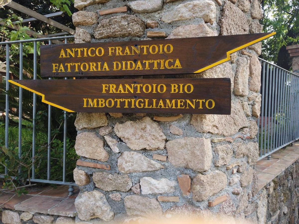 Il Mandorlo Vila Amantea Exterior foto