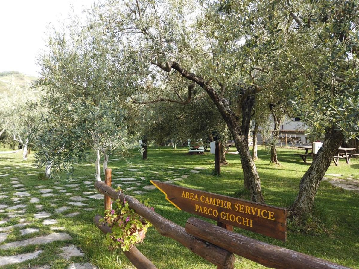 Il Mandorlo Vila Amantea Exterior foto