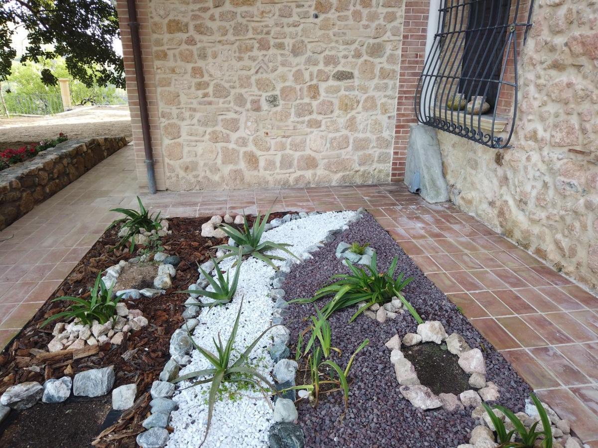 Il Mandorlo Vila Amantea Exterior foto