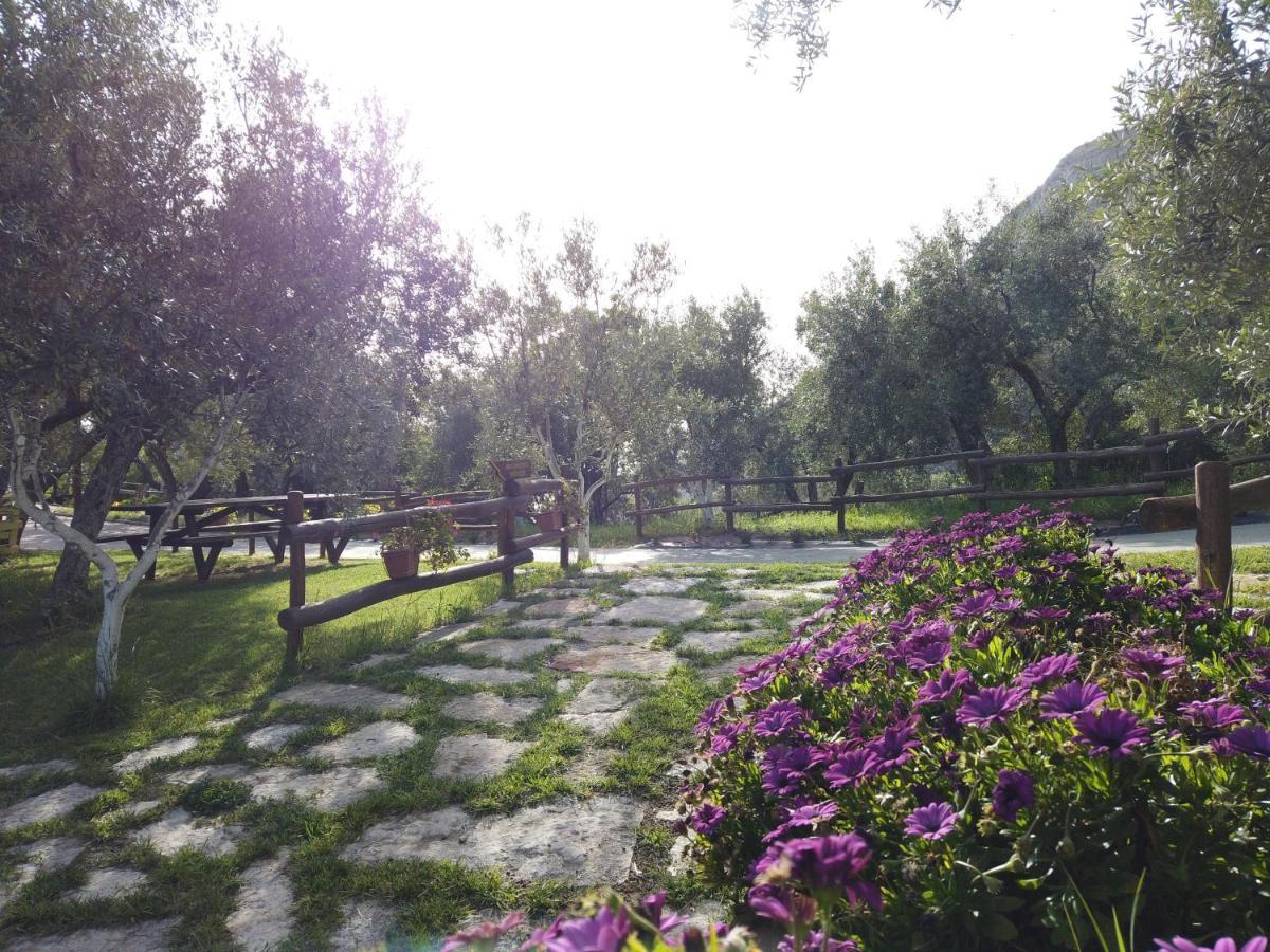 Il Mandorlo Vila Amantea Exterior foto