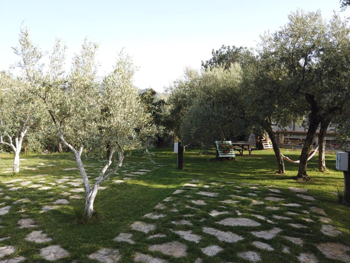 Il Mandorlo Vila Amantea Exterior foto